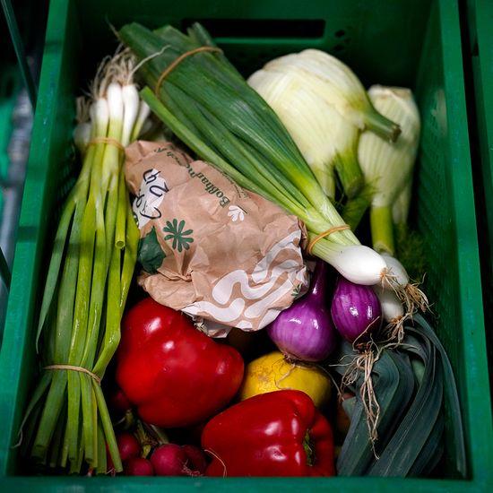 Eine grüne Kiste gepackt mit frischem Obst und Gemüse