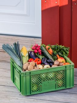Kiste mit regionalem Bio Obst und Gemüse