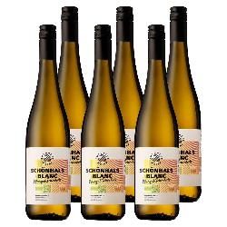 Produktfoto zu Kiste Zukunftswein Schönhals Blanc Rheinhessen 6x0,7L