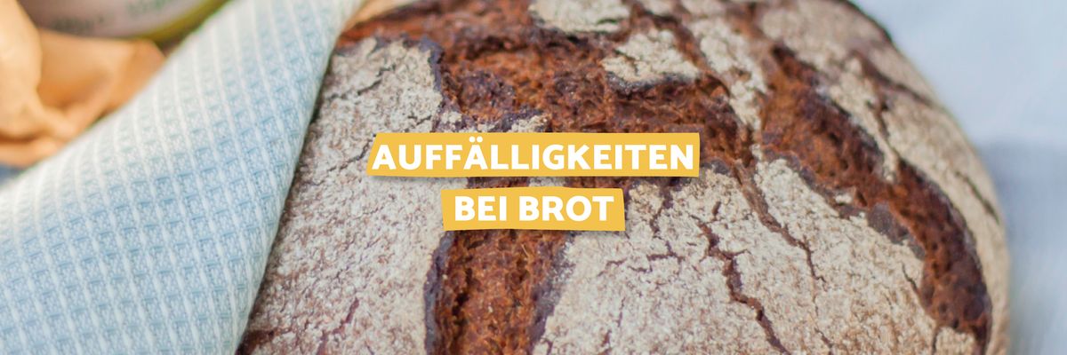 Brot Nahaufnahme mit aufschrift Auffälligkeiten bei Brot