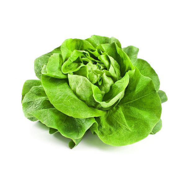 Kopfsalat