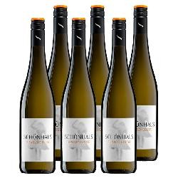 Produktfoto zu Kiste Weingut Schönhals Sonnengruß 6x0,75l