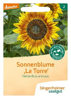 Produktfoto zu Bingenheimer Saatgut Sonnenblumen Samen