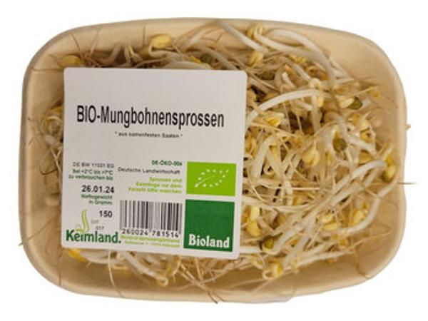 Produktfoto zu Mungbohnensprossen