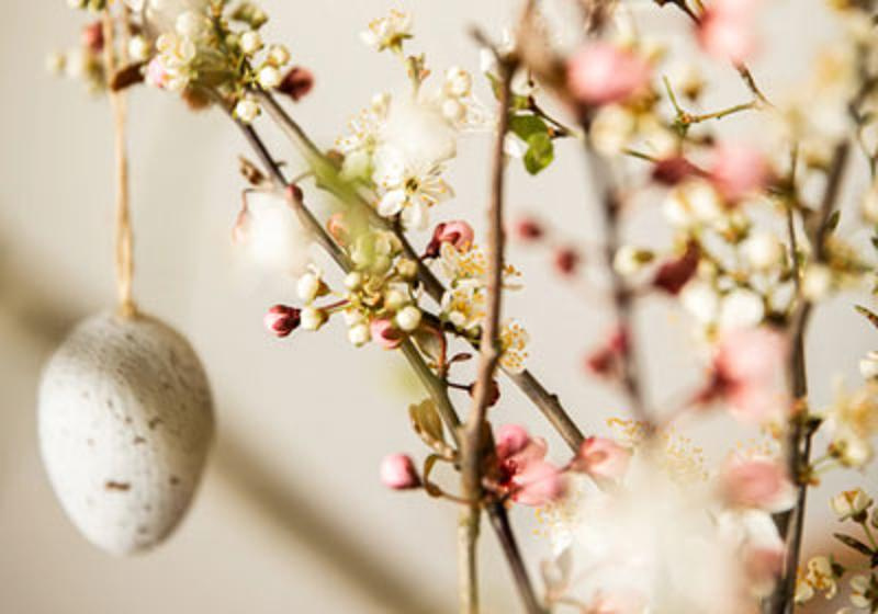 Leckereien fürs Osternest