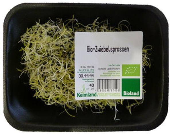 Produktfoto zu Zwiebelsprossen