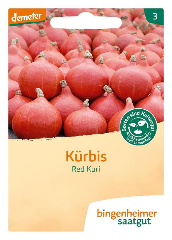 Produktfoto zu Bingenheimer Saatgut Kürbis Hokkaido Samen