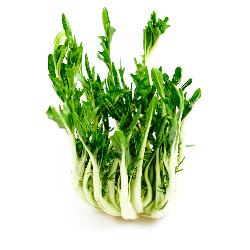 Produktfoto zu Puntarelle