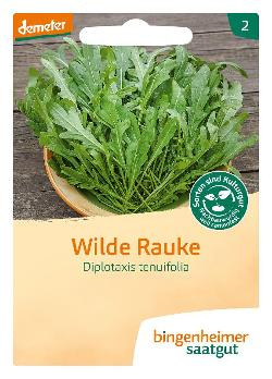 Produktfoto zu Bingenheimer Saatgut Salatrauke Rucola Samen