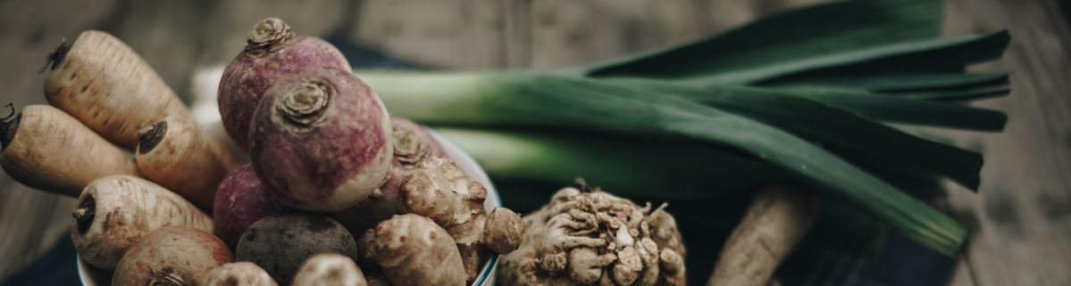 Warenkunde Obst und Gemüse in der Ökokiste