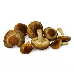 Produktfoto zu Shiitake