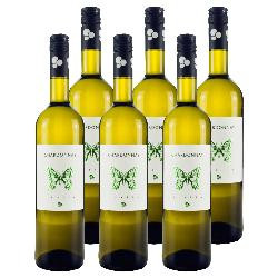 Produktfoto zu Kiste Naturian Chardonnay Terre di Chieti IGP 6x0,75l