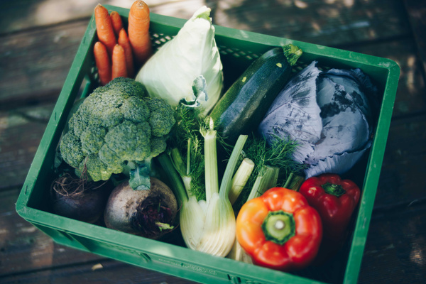 KI generiert: Das Bild zeigt eine grüne Kiste voller frischem Gemüse, darunter Brokkoli, Karotten, Paprika, Zucchini, Kohl und Fenchel. Der Hauptinhalt ist eine vielfältige Auswahl an gesunden, bunten Gemüsesorten.