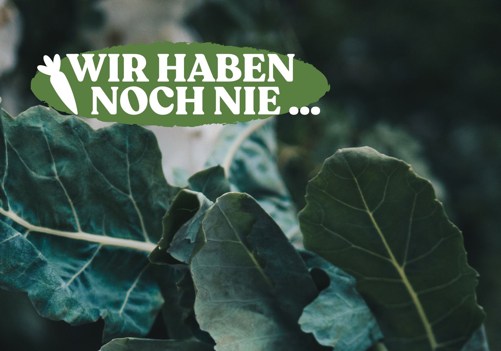 zwei Hände mit zwei Kohlrabi