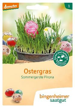 Produktfoto zu Bingenheimer Saatgut Ostergras Samen